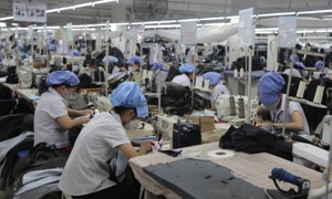 Vĩnh Long: GRDP 6 tháng đầu năm tăng 8,16%