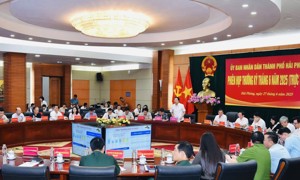 Hải Phòng: Thu ngân sách Nhà nước đã đạt 65,5% kế hoạch năm