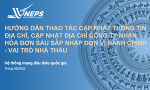 Cập nhật thông tin mới của nhà thầu, nhà đầu tư trên Hệ thống mạng đấu thầu quốc gia