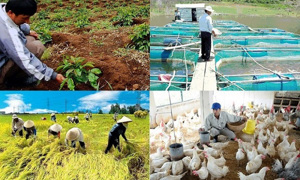 Ngành nông nghiệp quyết tâm hiện thực hóa mục tiêu tăng trưởng