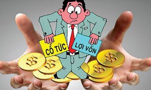 Ba doanh nghiệp sẽ chốt quyền nhận cổ tức, thưởng cổ phiếu vào ngày 1/7