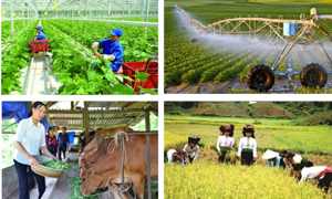 Tuyển chọn lực lượng tham gia điều tra - Yếu tố quyết định thành công Tổng điều tra Nông thôn, nông nghiệp năm 2025