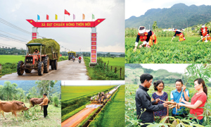 INFOGRAPHIC: Giải ngân vốn 03 chương trình mục tiêu quốc gia ước đạt 30% kế hoạch