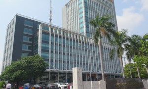 Chi cục Thuế khu vực II chính thức đổi tên thành Thuế TP. Hồ Chí Minh gồm 29 cơ sở trực thuộc