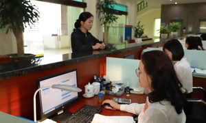 Hướng dẫn thực hiện Luật Ngân sách mới và chuyển đổi mô hình chính quyền địa phương