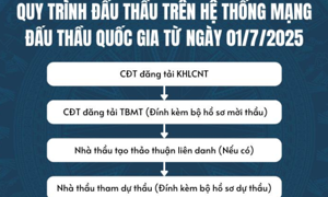 Hệ thống mạng đấu thầu Quốc gia cập nhật chức năng mới từ 1/7/2025