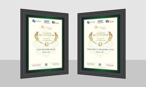 GELEX và đơn vị thành viên Viglacera tiếp tục là doanh nghiệp đạt Chuẩn Công bố thông tin năm 2025