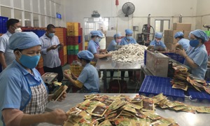 Vĩnh Long: Không yêu cầu doanh nghiệp thay đổi thông tin do đổi địa giới hành chính