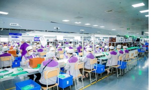 Tăng trưởng kinh tế của Nghệ An đứng đầu tiểu vùng Bắc Trung Bộ