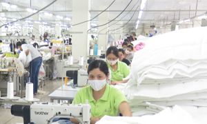 Quyết liệt thúc đẩy hoàn thiện thể chế, pháp luật, cải thiện môi trường đầu tư kinh doanh