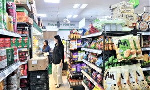 Tiêu dùng trong nước đang trên đà phục hồi