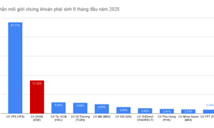 DNSE duy trì đà tăng trưởng thị phần phái sinh Quý 2/2025