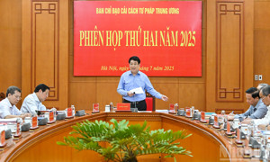 Chùm ảnh: Chủ tịch nước chủ trì Phiên họp thứ hai Ban Chỉ đạo Cải cách tư pháp Trung ương