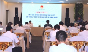 Tạo khuôn khổ pháp lý đầy đủ cho hoạt động của doanh nghiệp Nhà nước