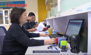 VIDEO: Hải quan áp thuế tự động – Hàng nhỏ không còn miễn thuế giá trị gia tăng từ 18/2