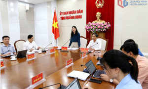 Quảng Ninh đẩy mạnh thu thập thông bongdaso nét hoàn thành tiến độ 