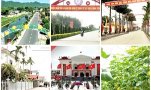 Ninh Bình thu thập thông tin phục vụ hoạch định chính sách phát triển nông thôn, nông nghiệp