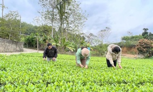 Nơi ở và làm việc lâu nhất của Bộ Tài chính tại ATK
