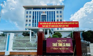 Thuế tỉnh Cà Mau: Triển khai nhiều chính sách thuế mới có hiệu lực từ ngày 1/7