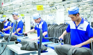 Thúc đẩy tăng trưởng 2 con số: Cần phải hành động quyết liệt với những cải cách mạnh mẽ