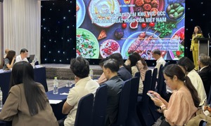Phát triển sản phẩm Halal để xuất khẩu bền vững