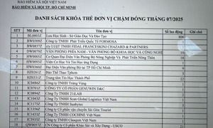 TP.HCM: 56 đơn vị, doanh nghiệp có người lao động bị khóa thẻ bảo hiểm y tế