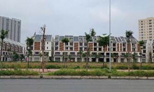 Kỳ vọng khởi sắc các phân khúc nhà ở thấp tầng