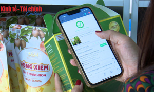 VIDEO: Truy xuất nguồn gốc: Cần luật hóa để bảo vệ người tiêu dùng.
