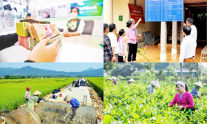 Đồng bộ, thống nhất cơ sở dữ liệu về các chương trình mục tiêu quốc gia