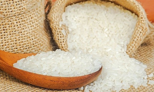 Việt Nam duy trì vị trí đối tác xuất khẩu gạo lớn thứ 3 tại thị trường Singapore