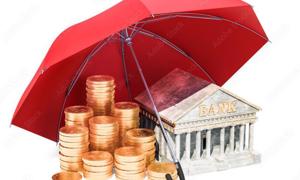 Bảo hiểm tiền gửi Việt Nam chủ động nâng cao năng lực, phát huy vai trò bảo vệ quyền lợi người gửi tiền