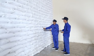 Ngân sách nhà nước chi cho hoạt động nhập, xuất hàng dự trữ quốc gia