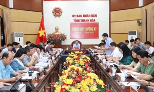 Thu ngân sách nhà nước tại Thanh Hóa đạt gần 34.000 tỷ đồng