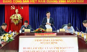 Lâm Đồng: Kiện toàn Sở Tài chính, giải quyết nhanh những nhiệm vụ quan trọng