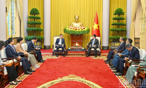 Chùm ảnh: Chủ tịch nước Lương Cường tiếp Đặc phái viên của Tổng thống Hàn Quốc