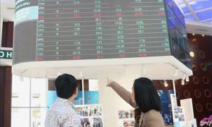 Từ luật đến thị trường: Thời kỳ sàng lọc và chuẩn hóa đã bắt đầu