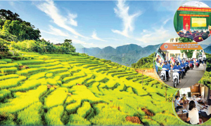 EMAGAZINE: Tổng điều tra nông thôn, nông nghiệp năm 2025: Thống kê tỉnh Thanh Hóa hoàn thành với chất lượng cao nhất
