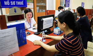 TP. Hồ Chí Minh: 6 tháng, thực hiện hoàn thuế 23.334 tỷ đồng