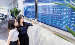 Cổ phiếu nào thực sự đồng hành với thị trường tháng 7?