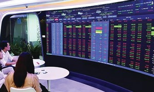 "Cửa sáng" cho cổ phiếu vốn hóa nhỏ giữa nhịp tích lũy thị trường