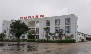 Khởi tố giám đốc người Mỹ trốn thuế hơn 3,2 tỷ đồng