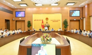 Trình Quốc hội sửa Luật Quản lý thuế, Luật Thuế thu nhập cá nhân tại Kỳ họp thứ 10 