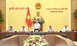 Phiên họp thứ 48, Ủy ban Thường vụ Quốc hội xem xét, cho ý kiến 17 nội dung
