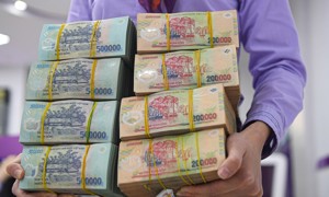 Hàng loạt doanh nghiệp chốt quyền cổ tức vào ngày 15/8: May Nhà Bè dẫn đầu