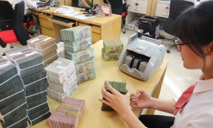 Loạt doanh nghiệp lớn chốt quyền cổ tức và phát hành thêm vào ngày 20/8