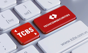 Định giá TCBS ở mức 4,1 tỷ USD nếu IPO thành công 