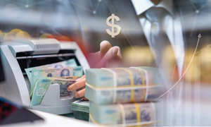 INFOGRAPHIC: Vốn đầu tư thực hiện từ nguồn ngân sách Nhà nước 7 tháng năm 2025 bằng 40,7% kế hoạch năm