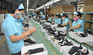Hướng dẫn thực hiện Quy tắc xuất xứ hàng hoá trong Hiệp định AANZFTA