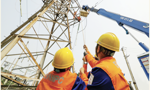 Chủ động, nỗ lực góp phần đạt mục tiêu tăng trưởng năm 2025