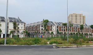 Mức độ quan tâm bất động sản đồng loạt tăng ở hầu hết các loại hình, khu vực
